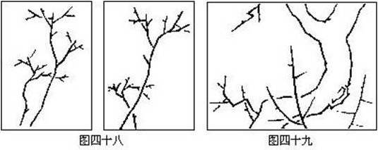 国画基础梅花的几种画法,徐湛国画梅花的画法视频