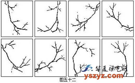 国画基础梅花的几种画法,徐湛国画梅花的画法视频