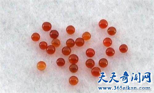 舍利子到底是怎么形成的,舍利子到底是怎么形成的原理