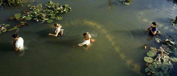 最大的蛇亚马逊森蚺照片,地球上最大的蛇类森蚺