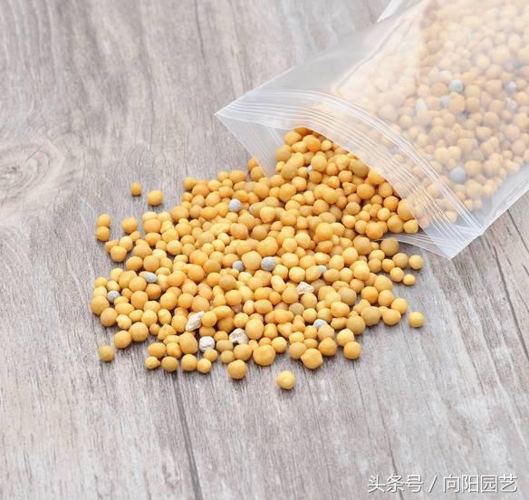 养花首先要养土,养花先养根合理的配土很重要