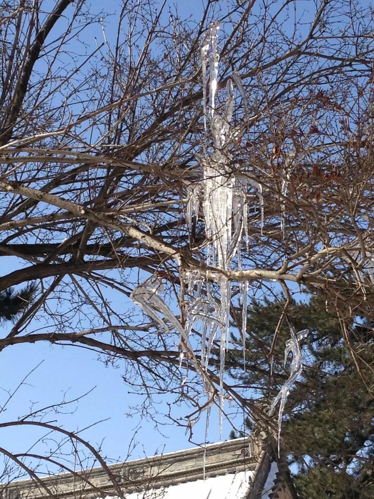 佛光古寺,佛光寺之旅