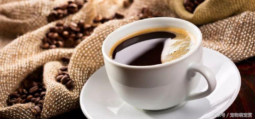 切记这几种食物不宜久放于冰箱,30种狗狗不能吃的食物喂狗误区