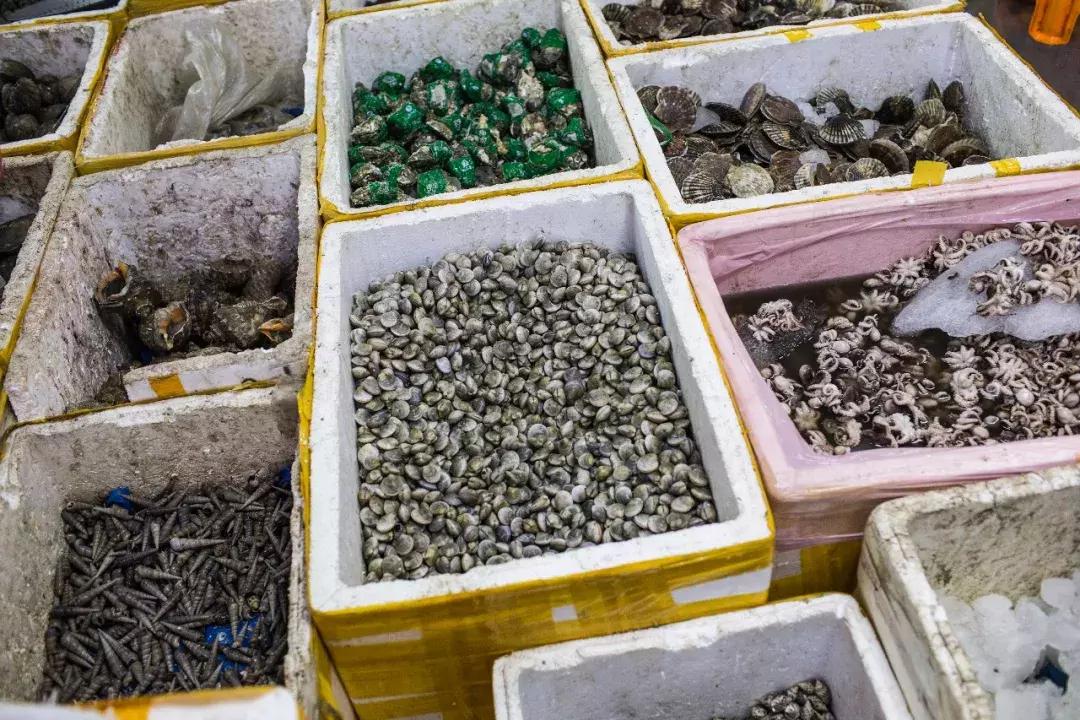 近江海鲜市场居民拆迁,近江海鲜城搬迁