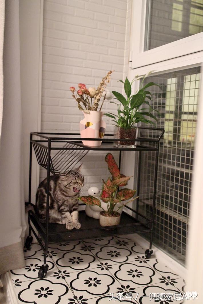 适合学生党的马卡龙色系,马卡龙小清新色系