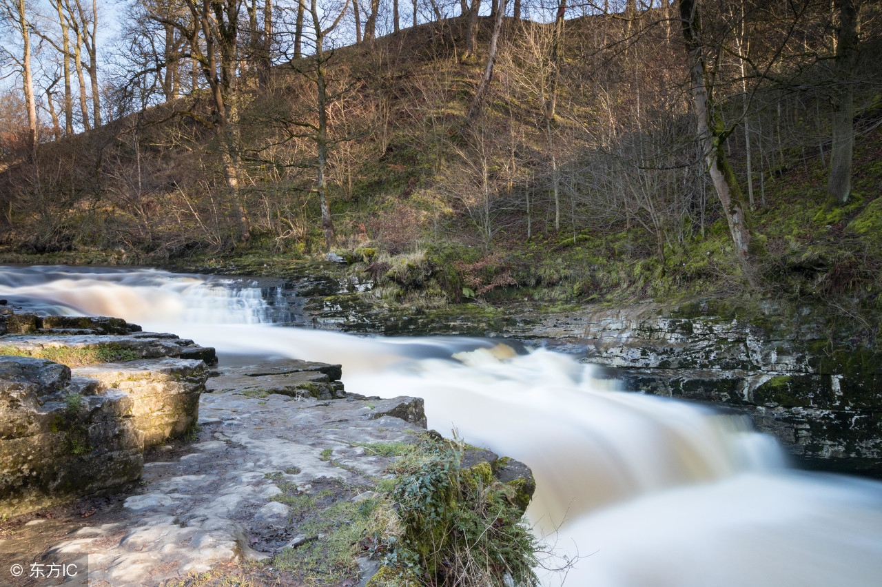 小时候最喜欢去河里抓鱼,记得小时候最喜欢捉鱼