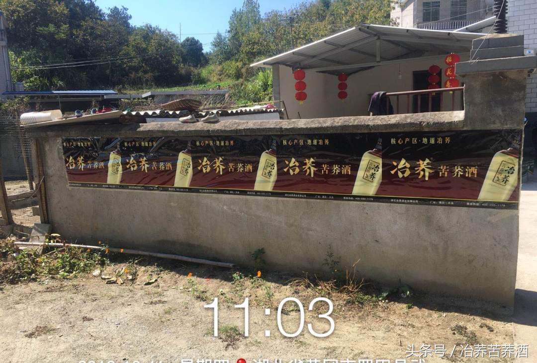 探秘荞酒核心产区,开启健康荞香之门,看“冶荞”如何势不可挡!