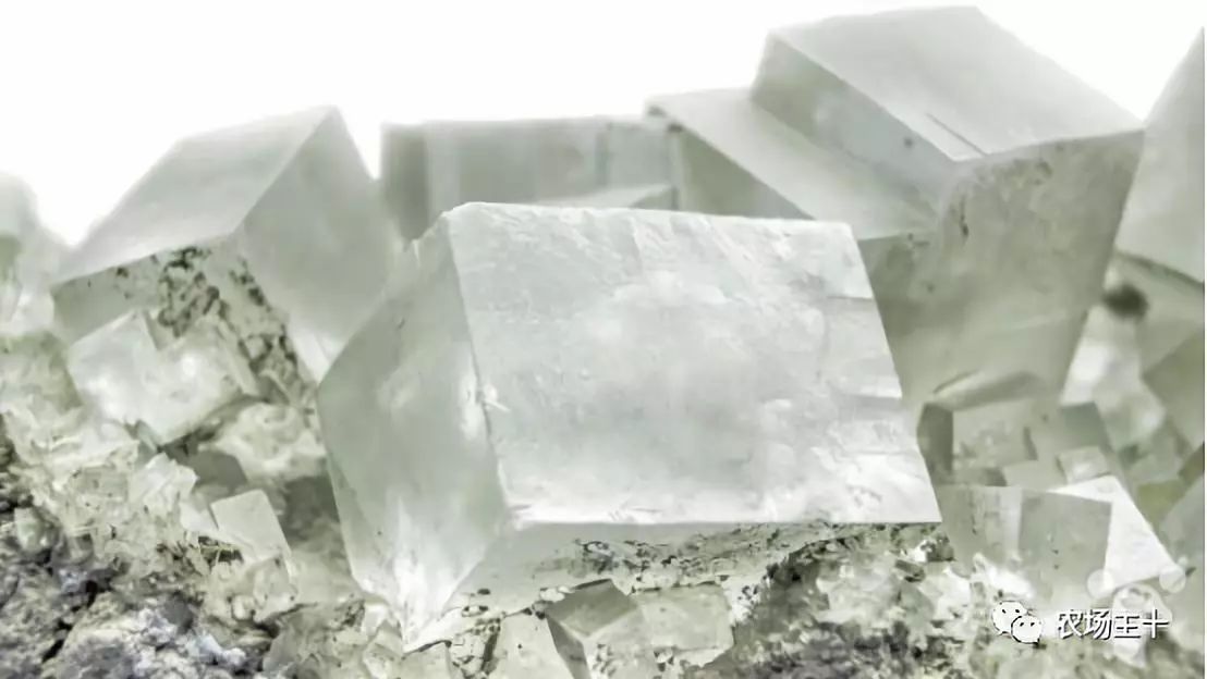 日本卖不掉的食品出现在中国,日本在中国卖的天价的东西