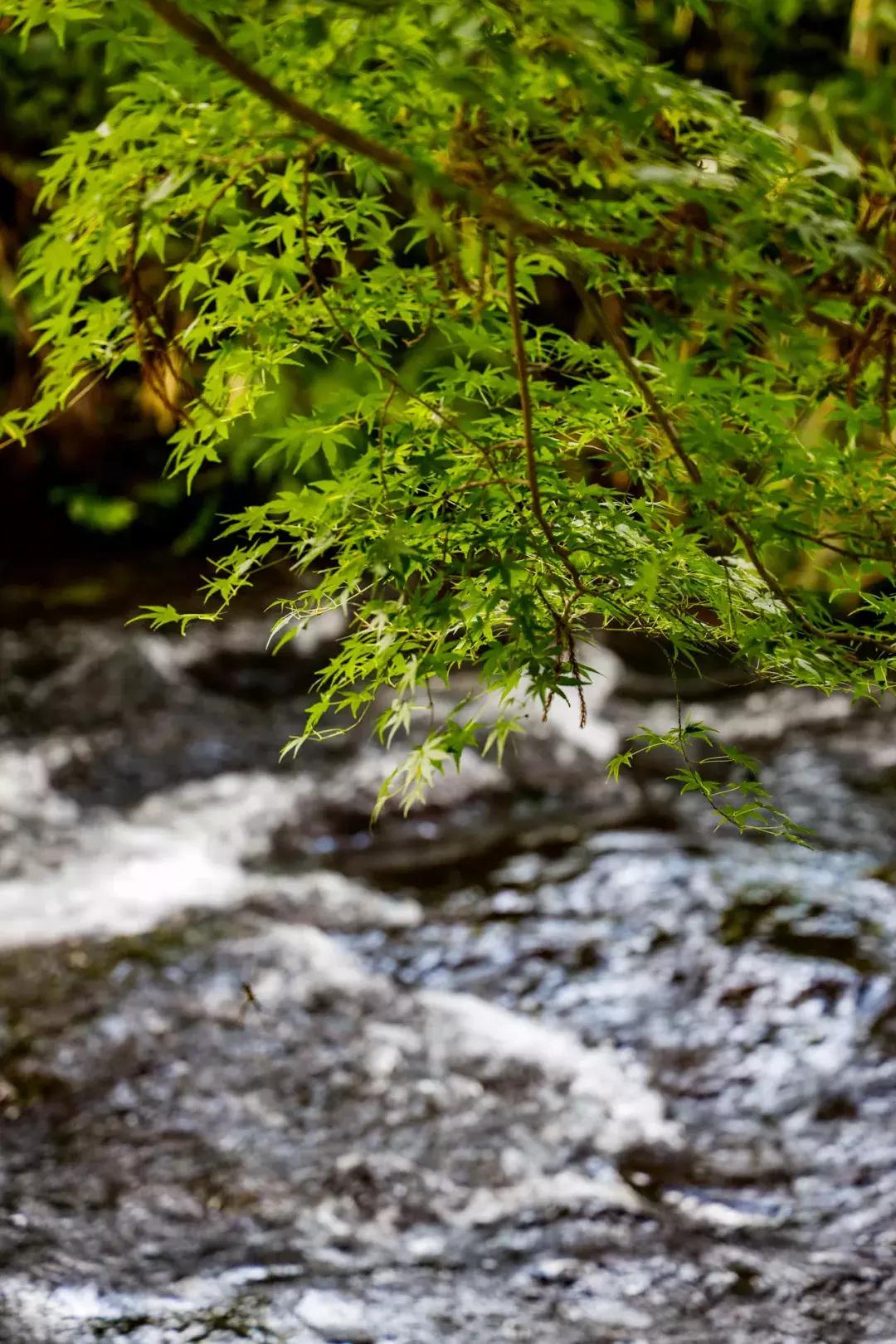 再谈伦纳德,eosr使用技巧