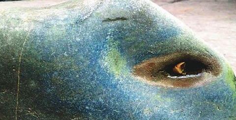 罕见五彩陨石,五彩陨石是真陨石吗