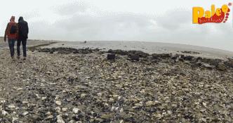 德国发明的黑科技跑鞋,德国铁打的跑鞋