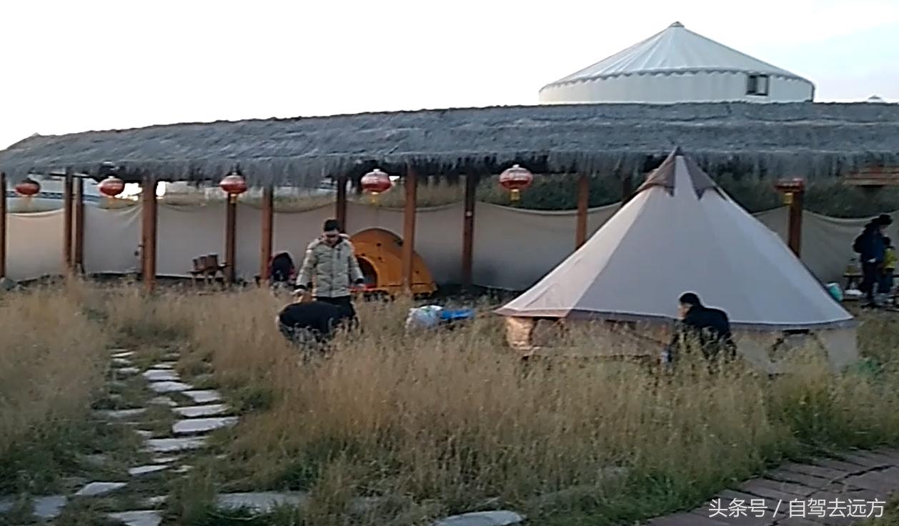 灞变腹鐗ф皯楠戦┈,灞变腹楠戦┈鐗ф皯