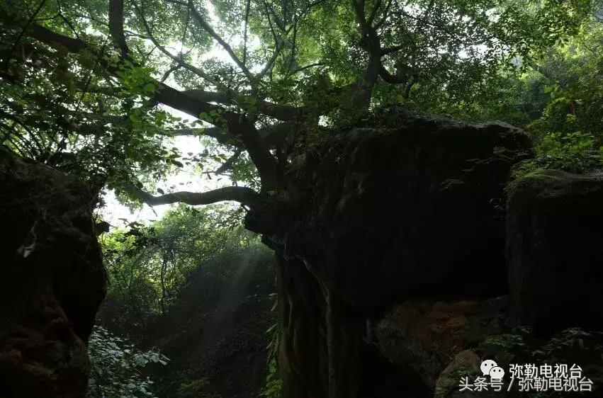 云南红河弥勒瀑布,弥勒滴水滩瀑布