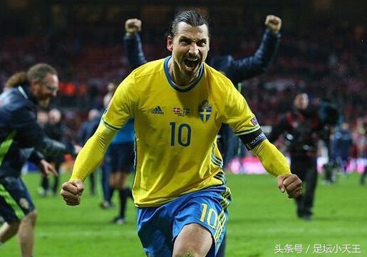 维埃里巴蒂舍普琴科范尼,足坛世界最强中锋