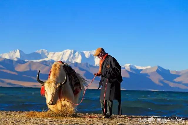 拉萨旅游攻略必去景点大全,拉萨旅游景点推荐及攻略