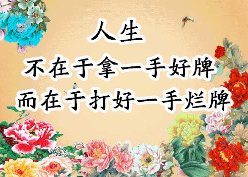 会动的图片21张太美了,会动的风景图片大全