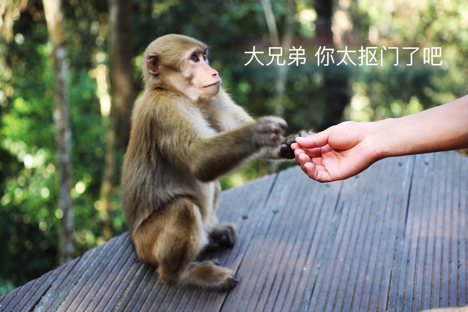 光唱歌就能给村里分红,曾祭人头的神秘佤族,走进你不知道的云南