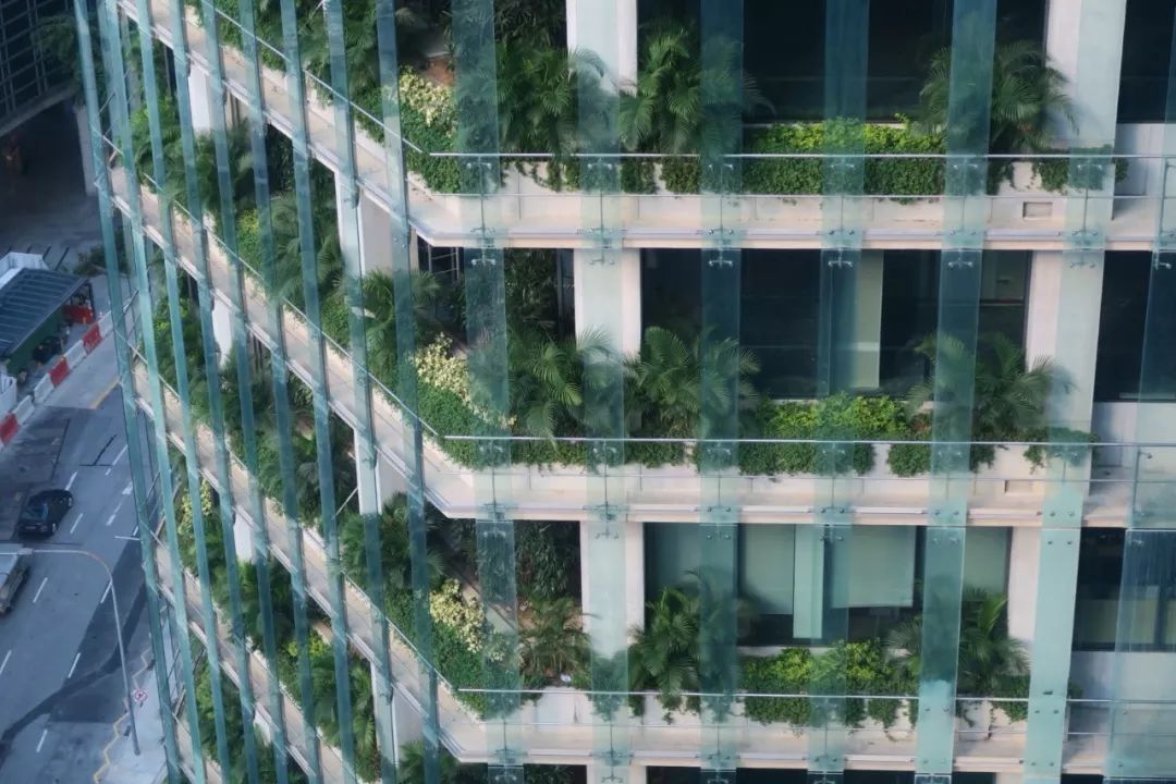 村上春树跑步拿诺贝尔奖,村上春树诺贝尔奖获得者