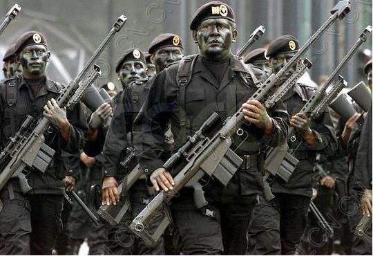 巴雷特，反器材步枪新秀——佩劳德步枪