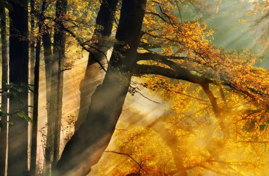 不要去杭州,杭州西湖值得去的地方