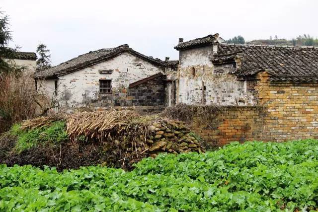皖南网红打卡自驾游攻略最佳线路,皖南自驾旅游景点推荐
