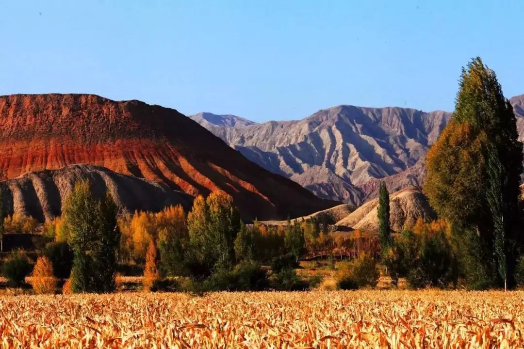 秋在广东很珍贵，若不细心寻找，它便静静地离开了