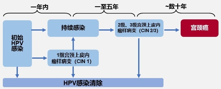 做什么检查能查出宫颈癌,一般做什么检查筛查宫颈癌