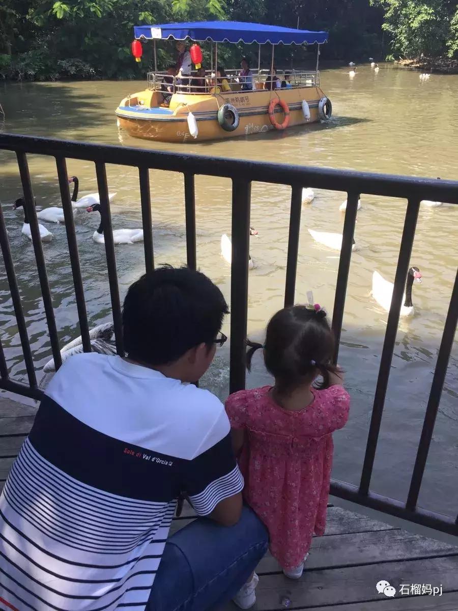 骞垮窞闀块殕椋為笩涔愬洯绁ㄤ环,闀块殕椋為笩涔愬洯灏忓绁ㄤ环