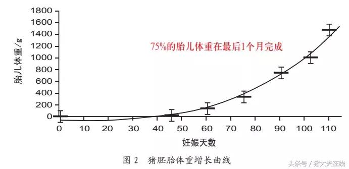 妊娠母猪饲养管理示意图,妊娠母猪饲养管理视频