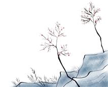 「冬令营」醉美云南·漫步丽江——浩然动力心理成长游学营