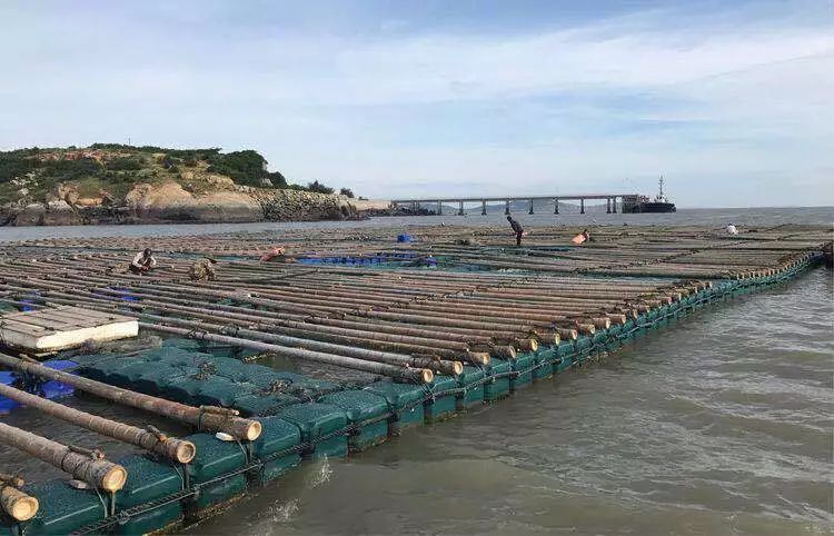 预告｜易采鲜生即将亮相青岛渔博会，招募全国运营商！