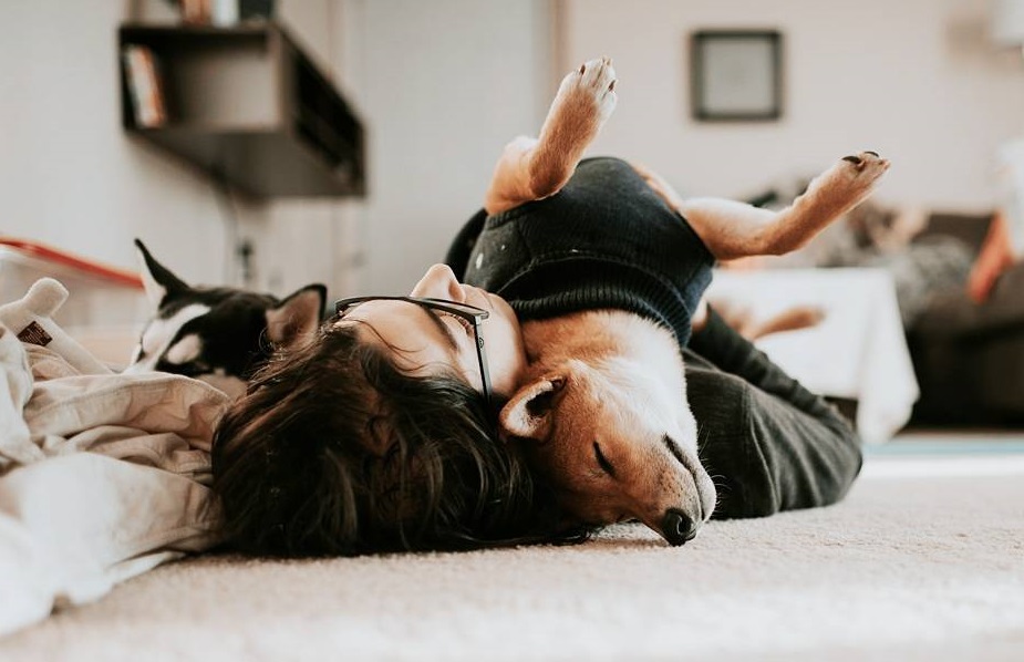 检测狗检测些什么,检测狗狗智商