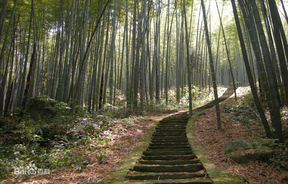 四川黑竹沟国家森林公园,四川天曌山国家森林公园
