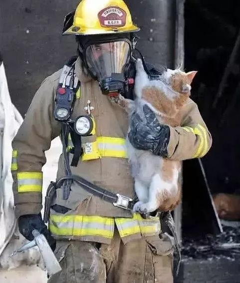 一组热到爆的猫片，对不起我要流鼻血了……