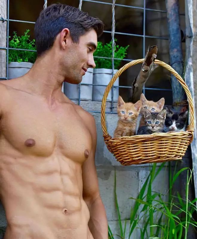 一组热到爆的猫片，对不起我要流鼻血了……