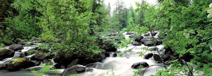 数码单反摄影教程,数码单反摄影进阶完全教程