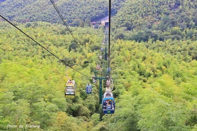 华东第一竹海自驾游,华东第一竹海宜兴竹海