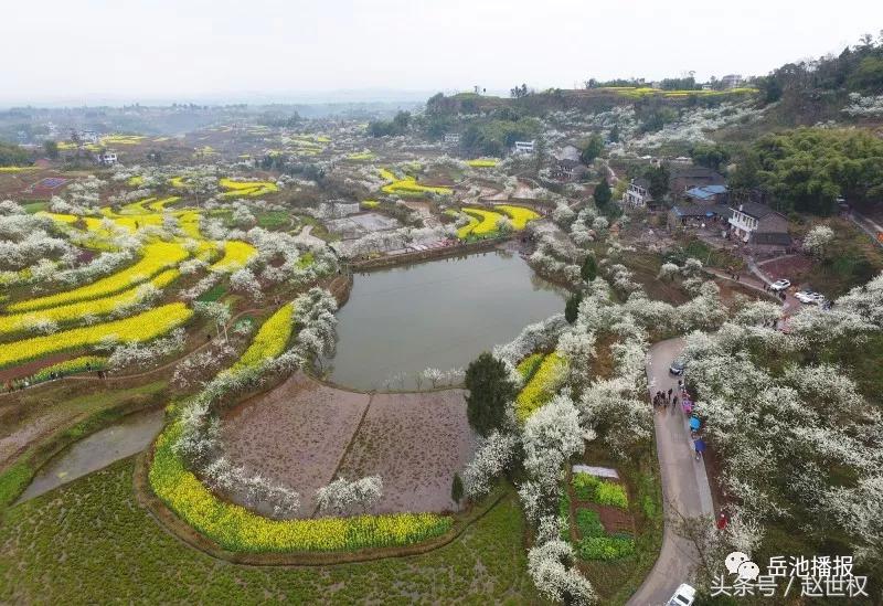岳池最近发展,岳池未来如何发展