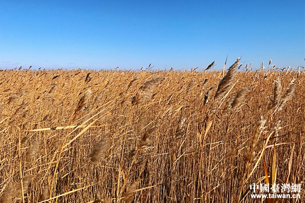 两岸媒体人看齐齐哈尔关键词：“美翻”“震撼”