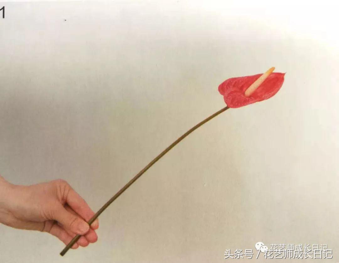 想要做一束花要怎么做,要做一束漂亮的花该怎么做