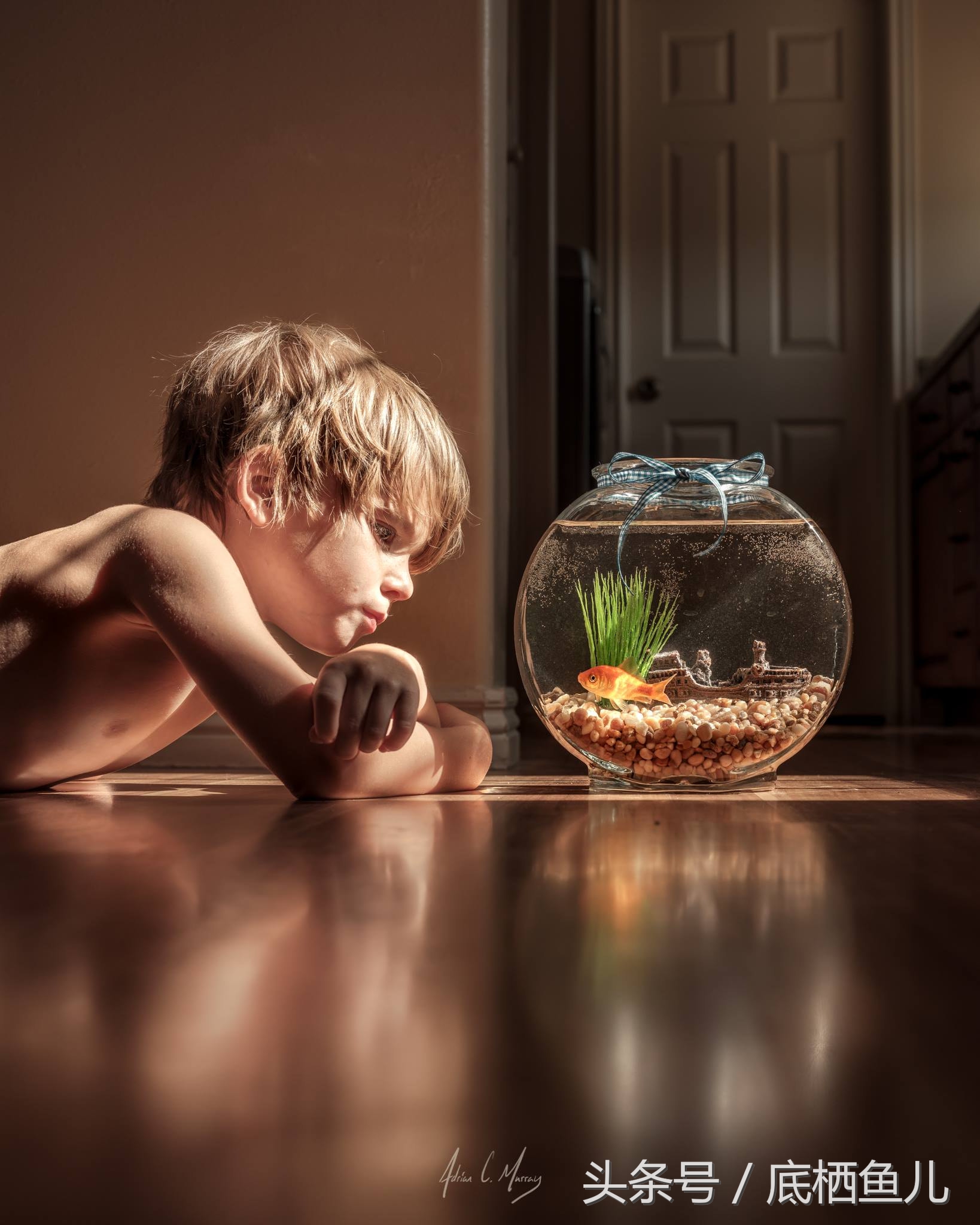 鱼腹部黑斑死亡,鱼腹部充血发红死亡