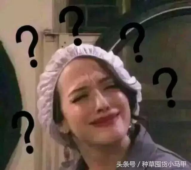 假货都有洗白的套路了！网友：鸡皮疙瘩掉一地