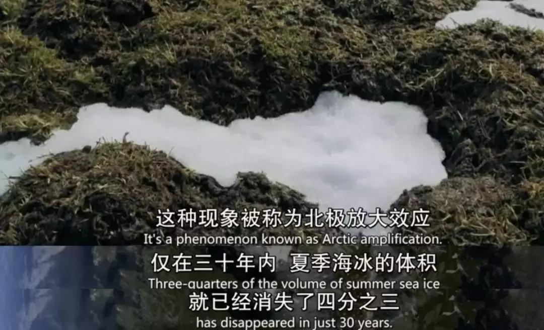 灾难纪录片真实事件,非常震撼的灾难片有哪些