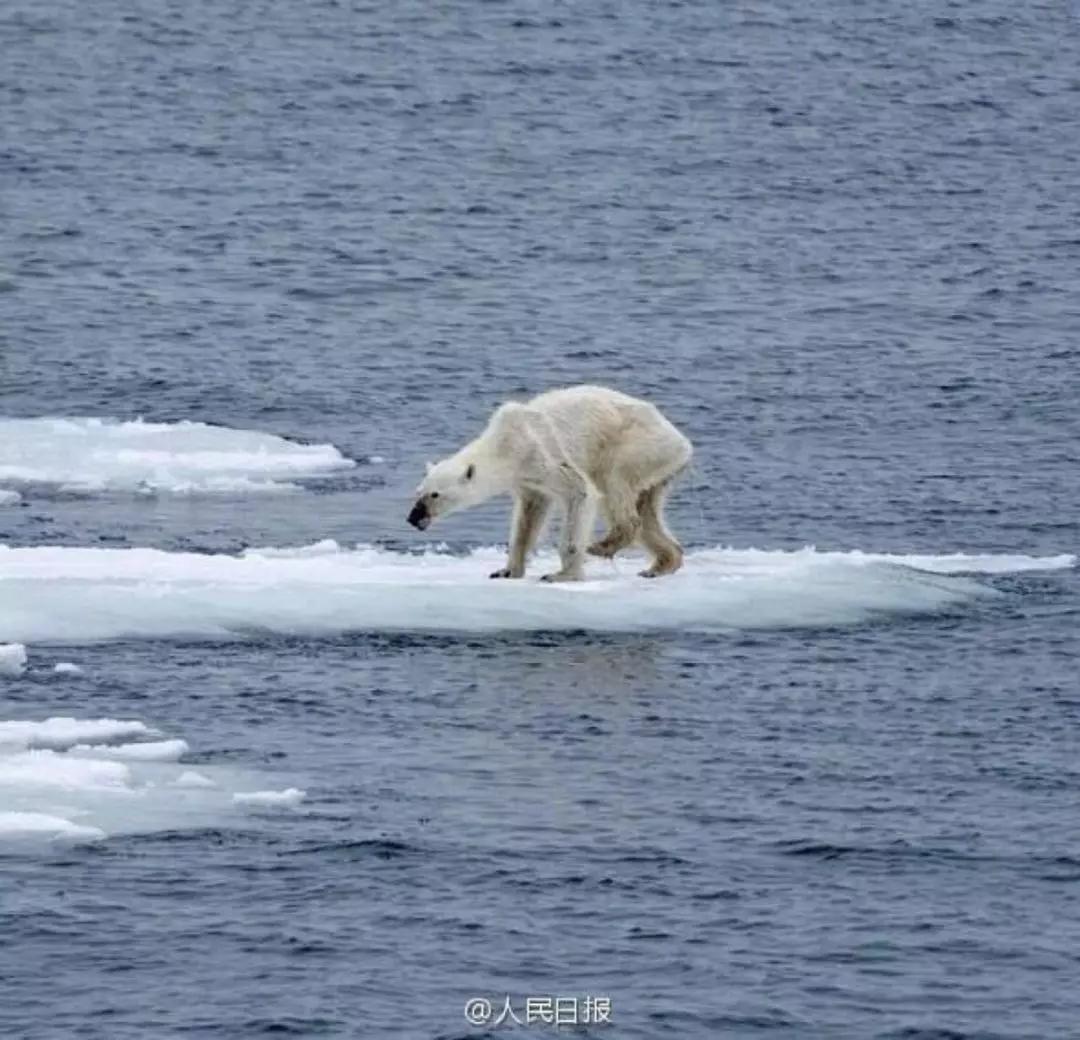 灾难纪录片真实事件,非常震撼的灾难片有哪些