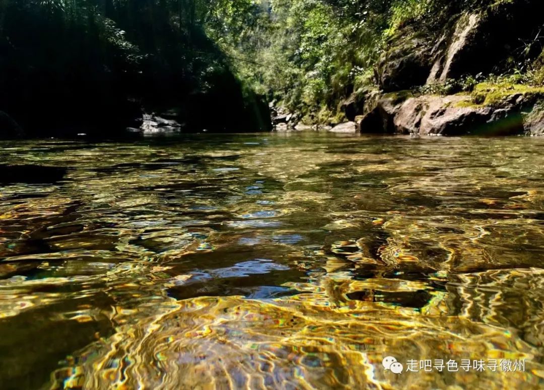 竹海扬波，溪山飞瀑｜心花开放在幽篁里