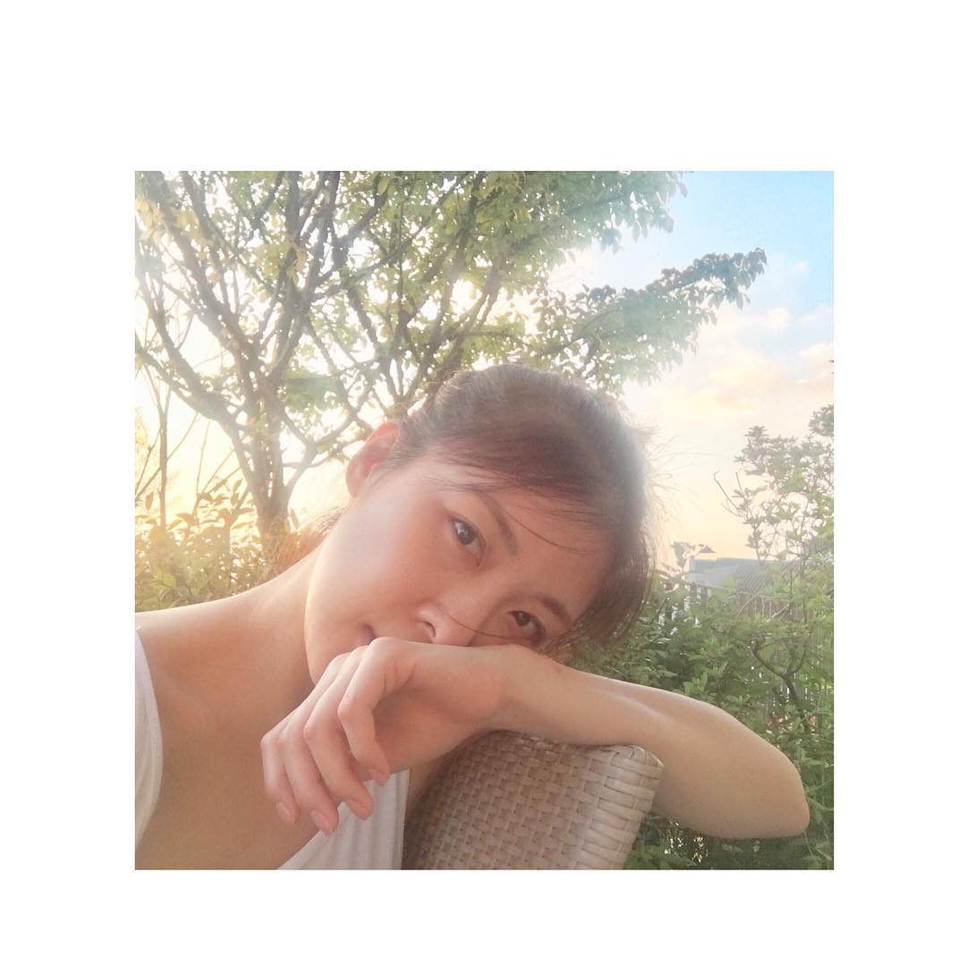 河智苑的韩国艺人,河智苑韩流