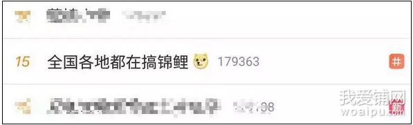 锦鲤到底什么套路,合肥锦鲤是什么