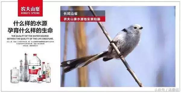 品牌营销认知,品牌营销管理方法