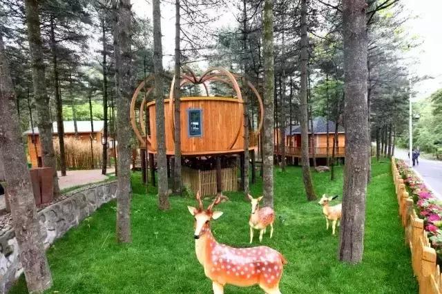 2019河南最美民宿,河南值得住的民宿推荐