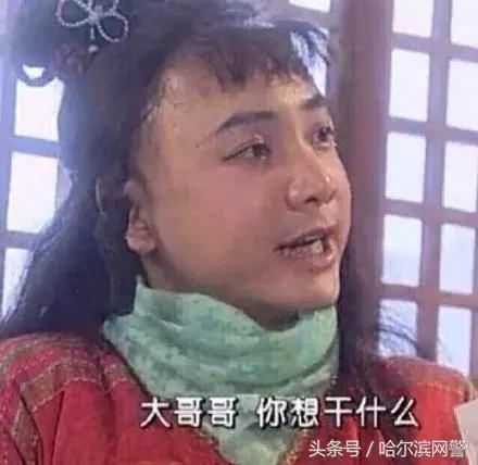 中国锦鲤的套路有哪些呢,中国锦鲤为什么火了